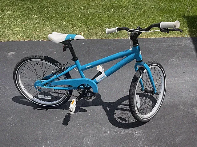 20 In Bike W/ Training Wheels If Needed