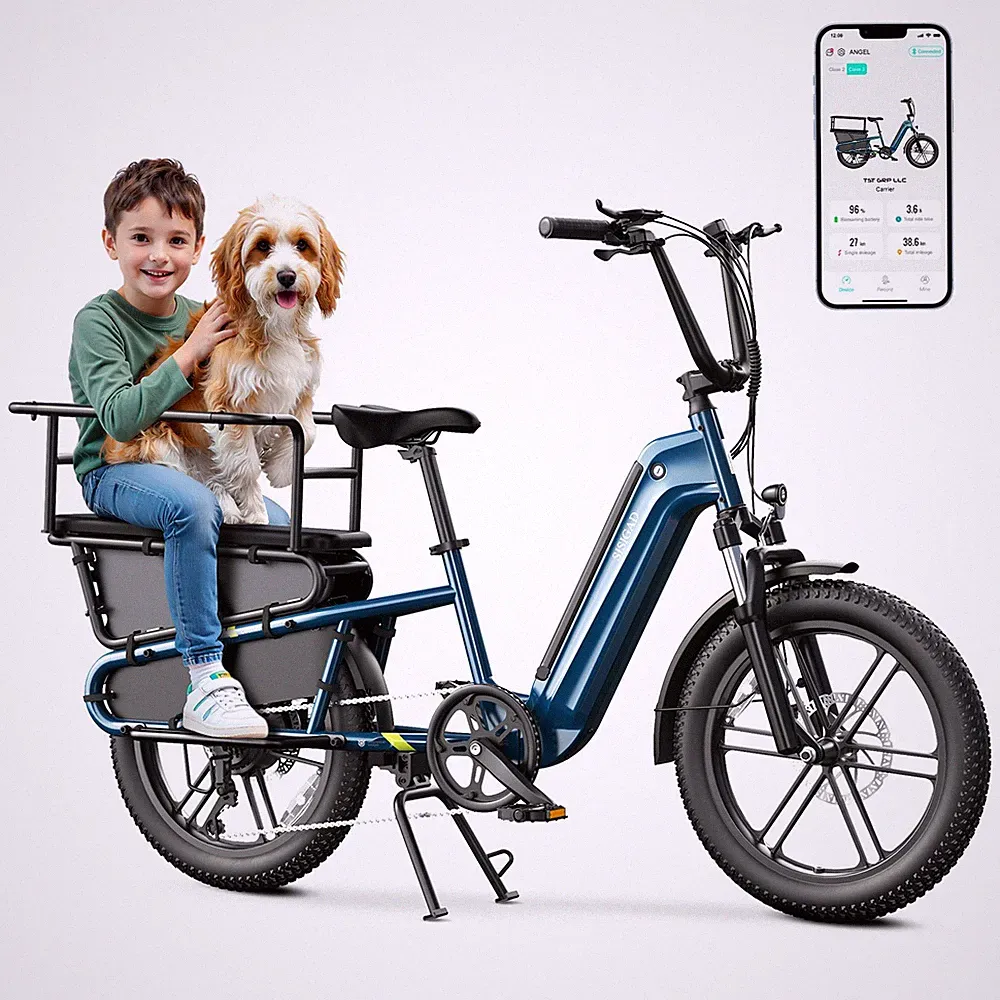 Electric Cargo Bicycle 20" Electric Bike 1500W Peak 80Miles 28MPH 15AH Ebike US