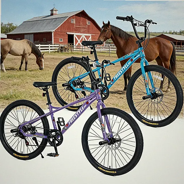 Kids Freestyle Bike Double Disc Brakes 26 Inch Children's Bicycle Boys Girls