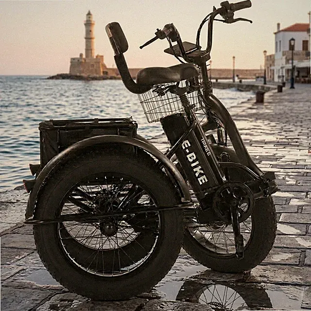 Off-road Electric Cargo Trike 20x4.0 Fat Tyre Foldable 3 Wheel E-Bike 500W 48V